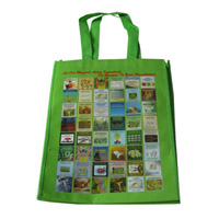 临沧LB11覆膜无纺布广告袋