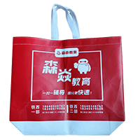 临沧LB37培训班广告袋